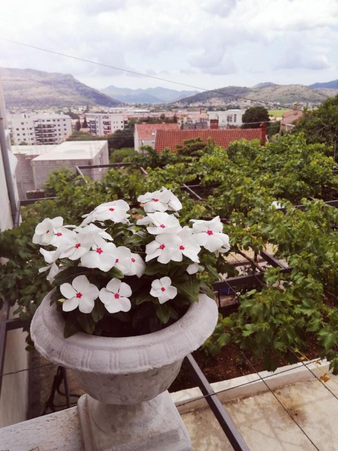 Nemanja Apartment Trebinje Ngoại thất bức ảnh