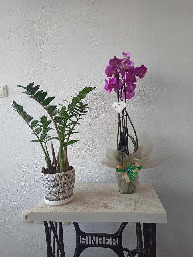 Nemanja Apartment Trebinje Ngoại thất bức ảnh
